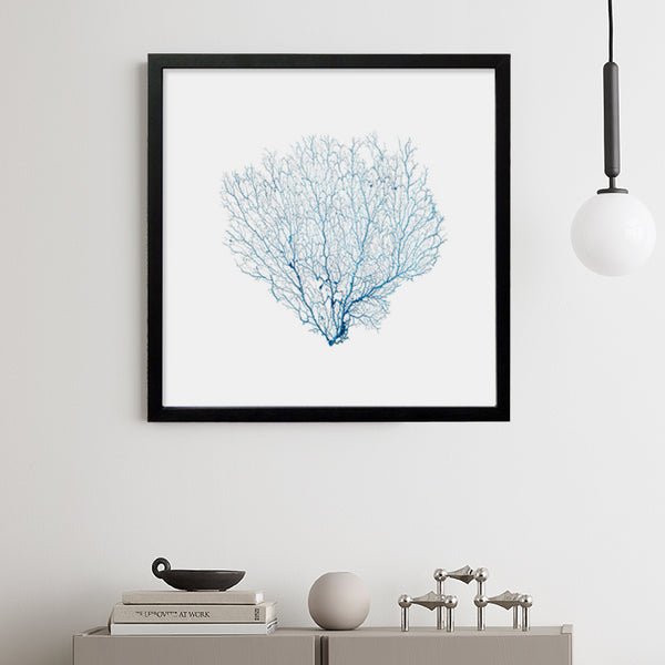 Framed Blue Sea Fan - Black Frame